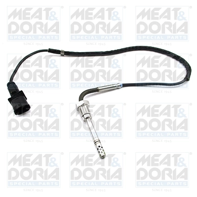 Sensor, exhaust gas temperature